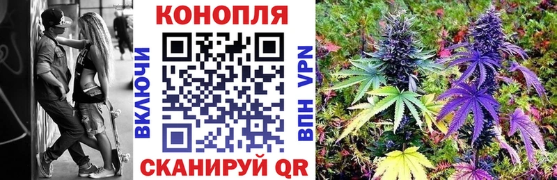 Конопля план  Чекалин 